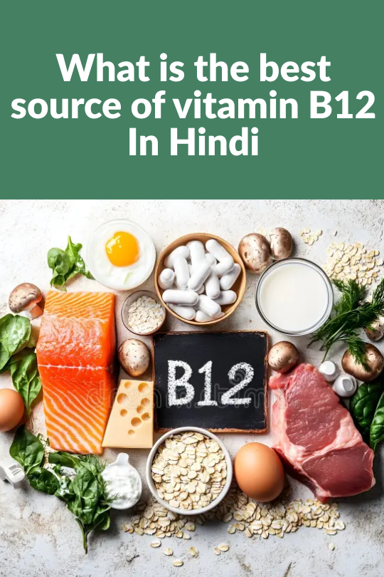 What is the best source of Vitamin B12 In Hindi